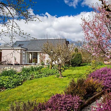 Ty'R Afon - River Cottage Bala Eksteriør bilde